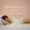 Instrumental Sleeping Music, Spa Zen & Sleeping Music For Dogs - Instrumental Music for Sleep